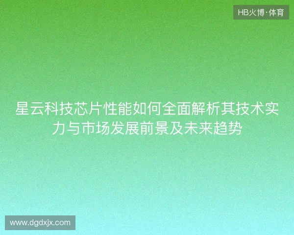 星云科技芯片性能如何全面解析其技术实力与市场发展前景及未来趋势